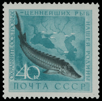 Lot 1267 - Russia - Soviet Union Stamps of 1941-91 - Raritan Stamps Inc. Auction #93 Worldwide Air Post stamps and postal history, Zeppelin Flight items, philatelic rarities of the World Lot 1267 - Russia - Soviet Union Stamps of 1941-91 - Raritan Stamps Inc. Auction #93 Worldwide Air Post stamps and postal history, Zeppelin Flight items, philatelic rarities of the World